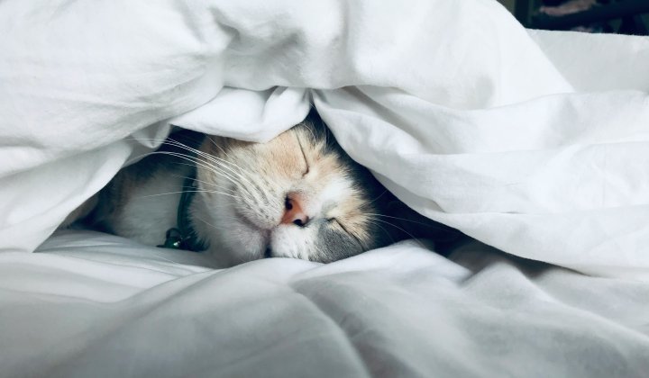 Sleep – The Productivity Trick Business Keeps Missing